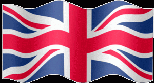 N One Disposable Nic Salt Pod